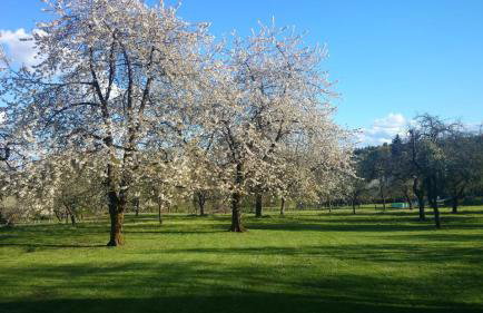 Schäferwagen Merino - Photo 5