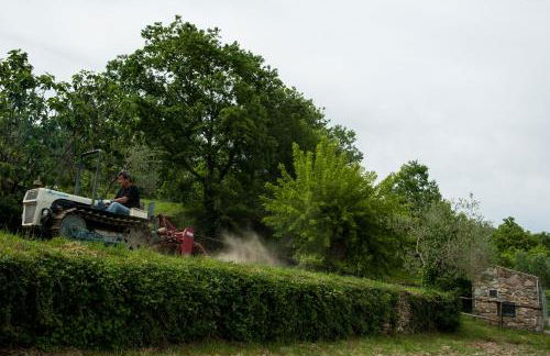 Agriturismo Azienda Agricola il Pozzo - Foto 28