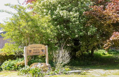 The Shavings - Photo 17