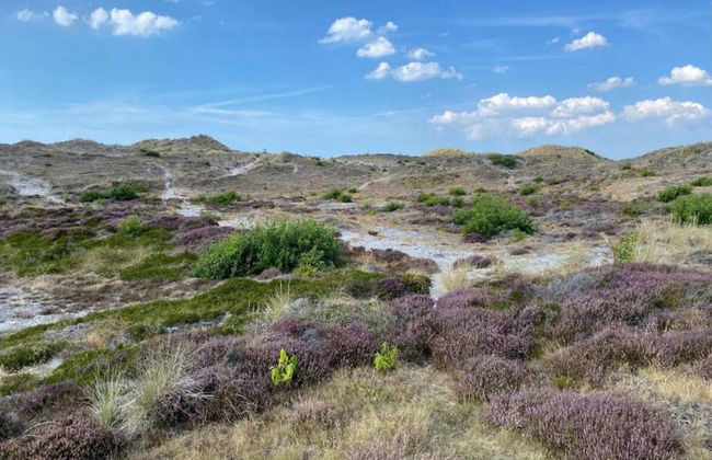 Holiday Home in De Koog Near Texel Beaches - Foto 25