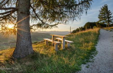 Landhaus Fürberger - Foto 69