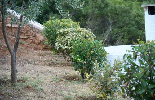 Villa Agia Sofia ένα υπέροχο καταφύγιο στο βουνό - Foto 28