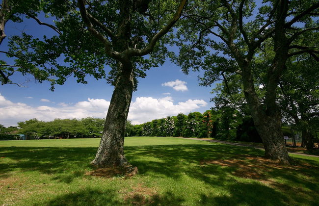 Yagura Hostel - Foto 47