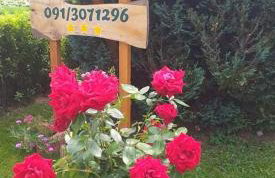 Apartman Patricia - Foto 10