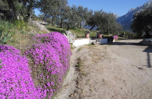 Villa L'Oleandro - Foto 62