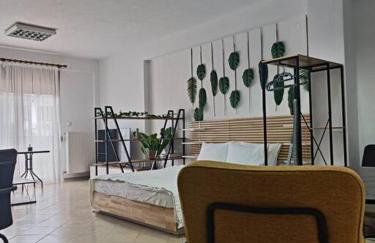 Φρίντα στο κέντρο της Ορεστιάδας - Foto 24