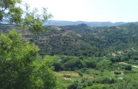 Kampos View Ikaria - Photo 56