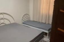 Fazenda Torrão da Serra - Foto 8