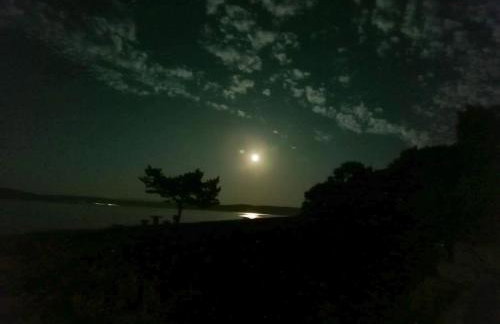 Studio Apartment Nature - Photo 20