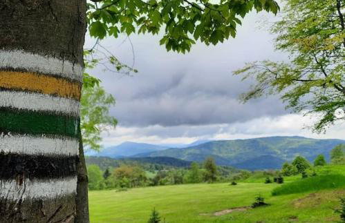 Przystanek Zawadka - Foto 42