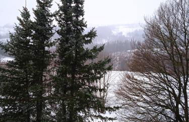 Ferienwohnung Merlina WLAN-Wandern-Radfahren-Motoradurlaub - Foto 1