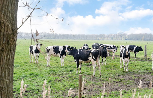 Peaceful Family Home in Elim - Foto 40