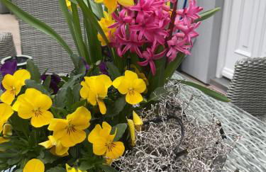 Waldtraum Wandlitzsee - Foto 36