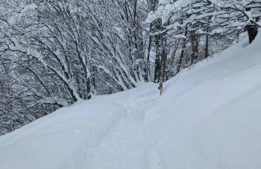 Les Chryolles - Les sources - Foto 28