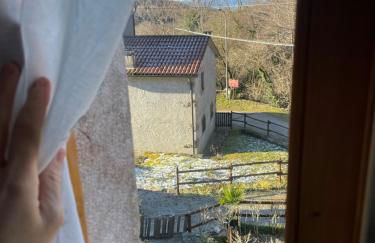 La casa nel bosco - Foto 5