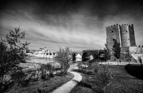 Apartamento Turístico Mis Rayitos - Foto 21