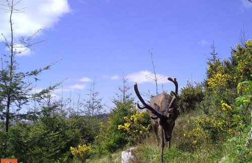 Red Watch Apartment - Foto 32