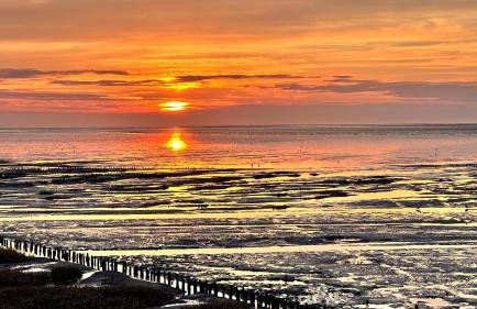 Lenis Deichblick - Foto 1