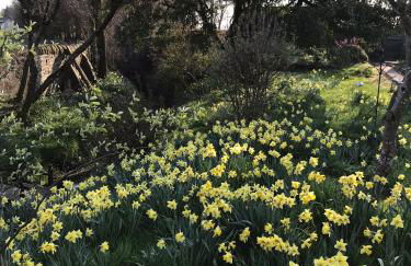 Garden Studio for Two - Foto 16