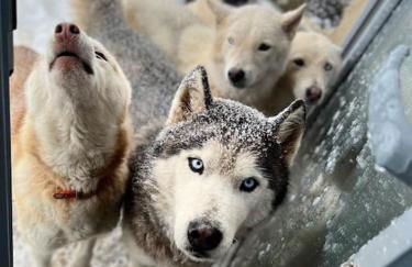 La Petite Sibérie Nature Cadre exceptionnel - Foto 11