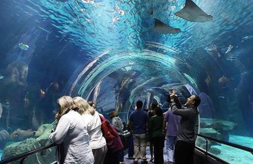 Studio Metrô e VLT Consulado Carioca Cinelândia Lapa - Foto 30