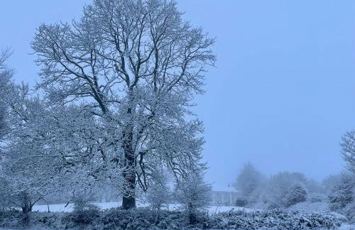 Winstitchen Cottage situated near the River Barle - Foto 49