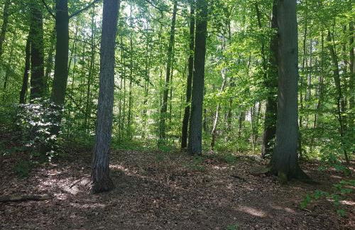 4 Sterne Ferienhaus "Vorwerk" - Foto 38