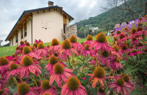 La casa di Maia - Alloggio Agrituristico - Foto 22
