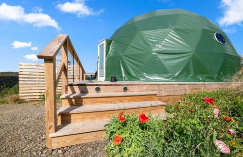 'The Bear Dome' with Barrel Hot Tub in Franklin - Foto 27