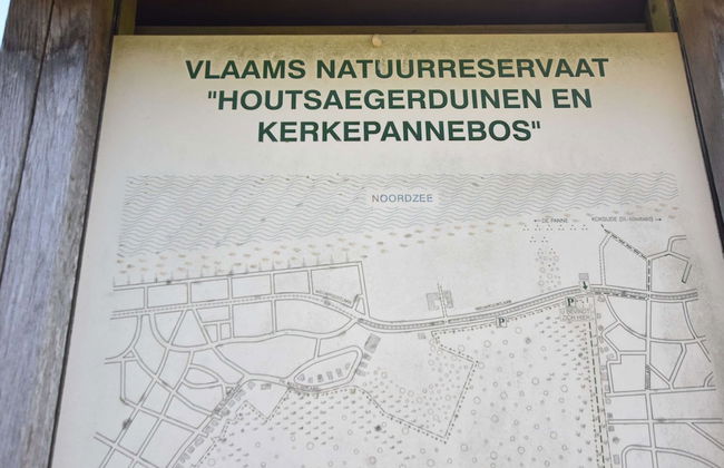 Bright Coastal Family Escape - Foto 33