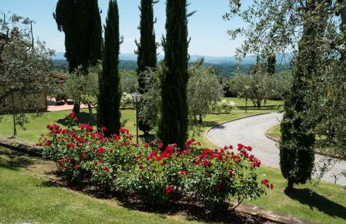 La Casa delle Rose - Photo 15