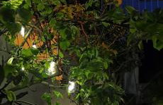 Altstadtvilla BAN's - Photo 9