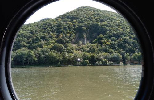 Hausboot Moselrose in Pölich - Foto 35