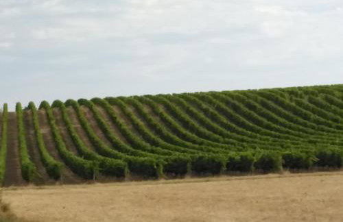 Maison DELMAS, l'Oustal du Recantu - Foto 46