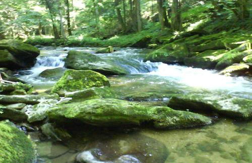 Bio-Ferienhof Höfler - Foto 11