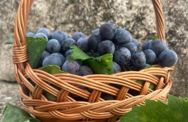 Vardio Apartment Dubrovnik Parking Jacuzzi - Foto 24