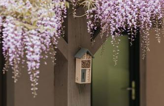 Gîtes du Bulz, en pleine forêt proche de la mer - Photo 69