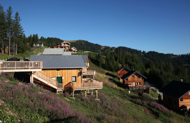 Klippitzrose - Foto 47