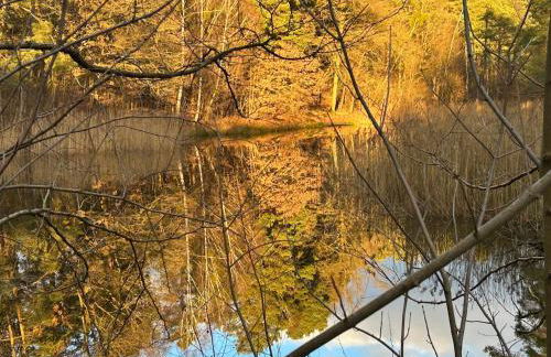 WaldFloß am Silbersee - Nature Pure Life! - Foto 2