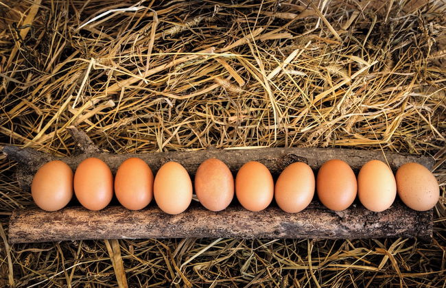 Wine Relais Cà Piadera - Foto 20