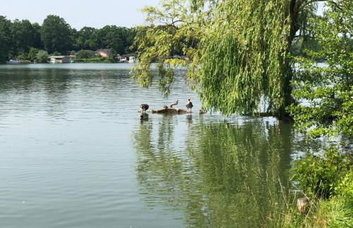 Ferienwohnung mit Wasserzugang - Foto 8
