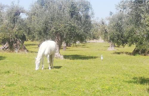 Le Grotte di Sileno - Foto 53