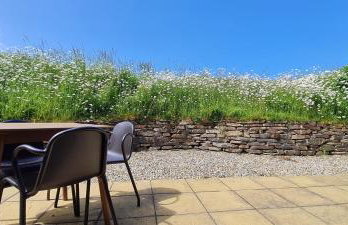 Little Oaks Chalet - St. Merryn, Padstow - Foto 7