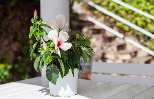 Casa Morisca vistas al mar - Foto 22