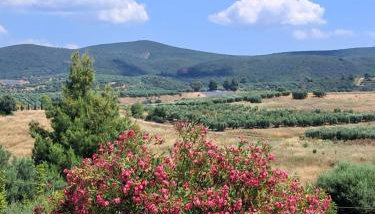 Elia House - Photo 5