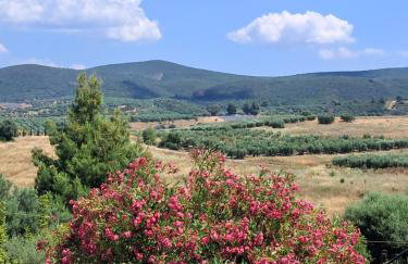 Elia House - Foto 5
