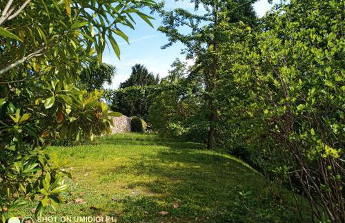 Bellavista in palazzo storico e deliziosa vista lago! - Foto 60