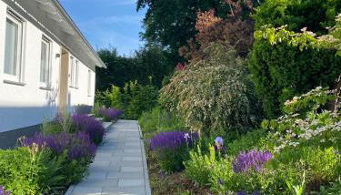 3C Boutique Apartments Nrº14 - Foto 2, Garden