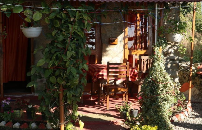 The Mapple Cottage - Foto 5