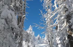 Ferienwohnung Völkl - Foto 25